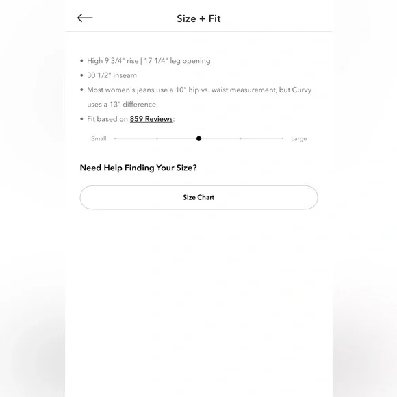 American Eagle 🦅 Stretch Curvy Ripped Straight Jean - Picture 9 of 10